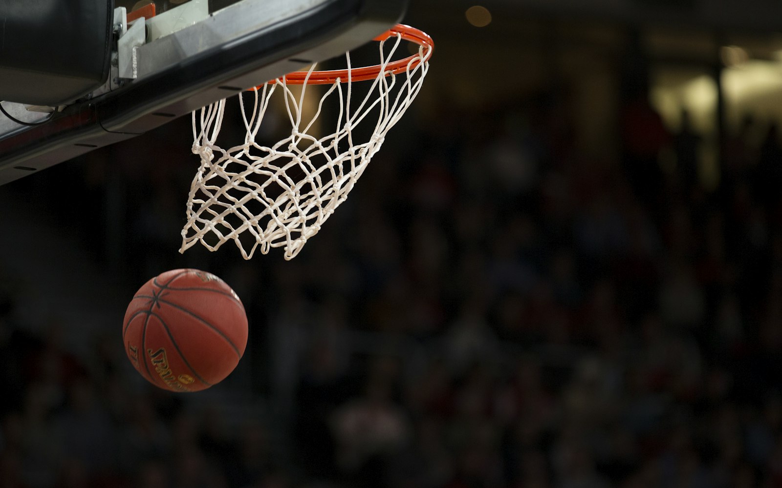 Ledong官方网站_乐动ledong（中国）·封面特写：球馆上空的悬停时刻